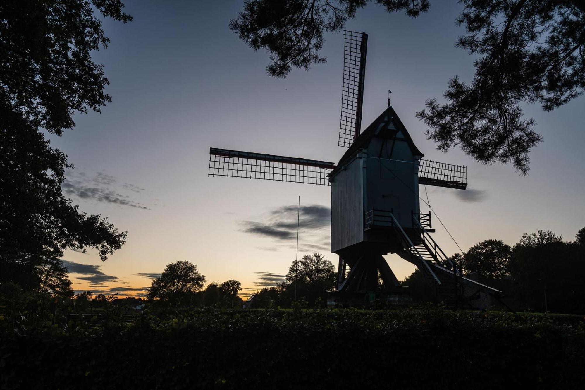 Beddermolen - Molenhuis Op Historisch Erfgoeddomein Westerlo Eksteriør bilde